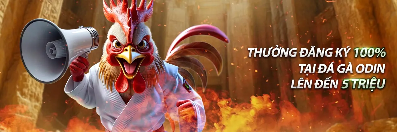 Hướng dẫn đặt cược thể thao